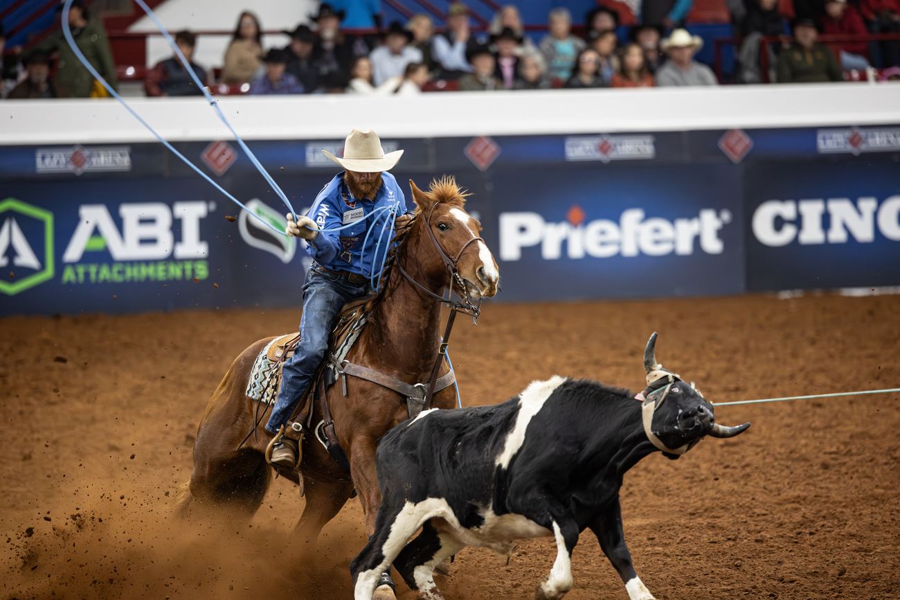 Animal offspring heading at the futurity